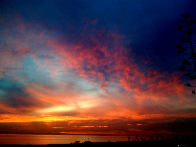 Enjoying Amazing sunset at home.