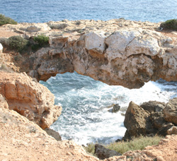 Costal Cyprus