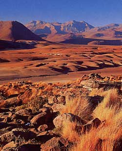 Atacama Desert