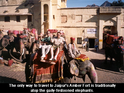 The only way to travel to Jaipur's Amber Fort is traditionally atop the gaily-festooned elephants.