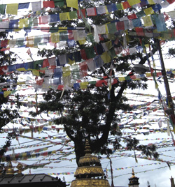 Prayer Flags in Kathmandu