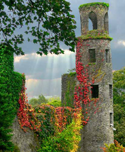 Blarney Castle