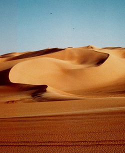 Sahara Desert