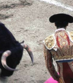Spanish Bullfighting
