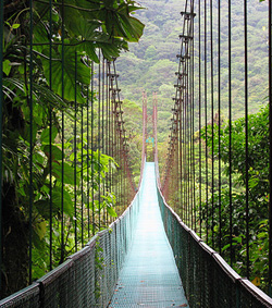 Monteverde Rainforest Walkway