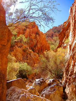 Australian Outback