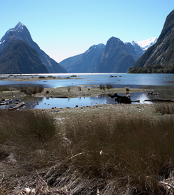 Milford Sound