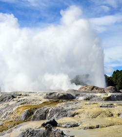 Te Puia Geyser